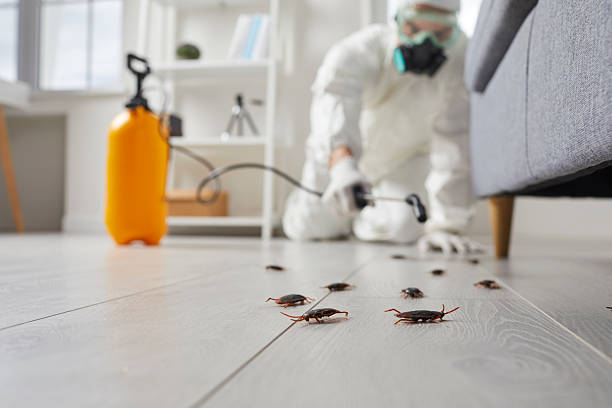 Commercial Kitchen Cockroach Control in Dickson City